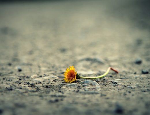 失恋 立ち直る 方法 The Chi Chi Diary